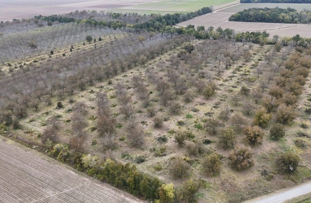 dji_fly_20251107_042944_0024_1762484053761_photo