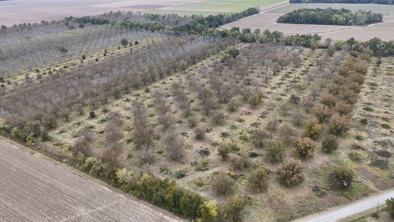 dji_fly_20251107_042944_0024_1762484053761_photo