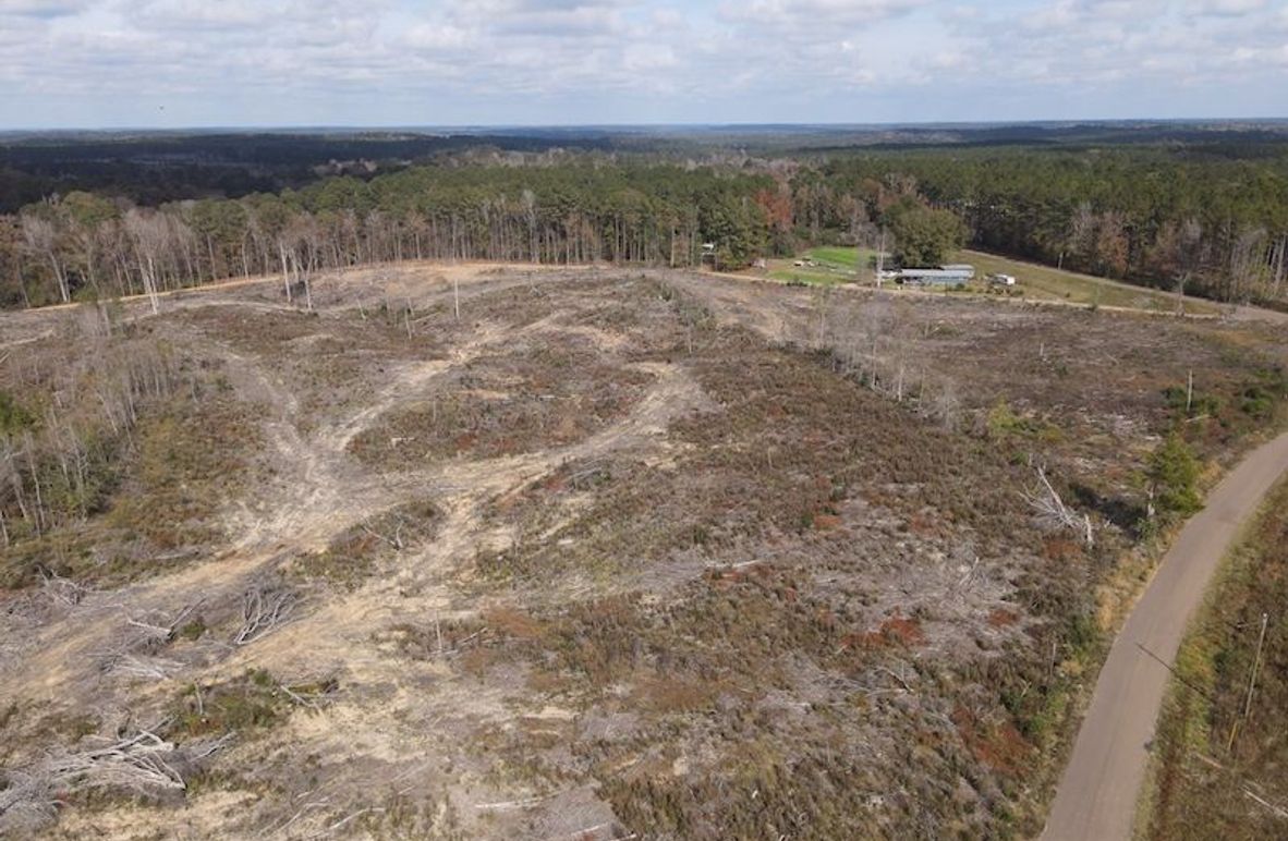 dji_fly_20251120_120634_854_1763662014116_photo