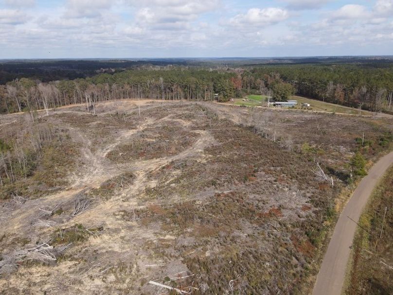 dji_fly_20251120_120634_854_1763662014116_photo