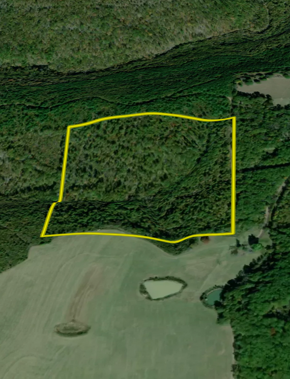 Screenshot 2026-02-22 at 3.49.07 PM