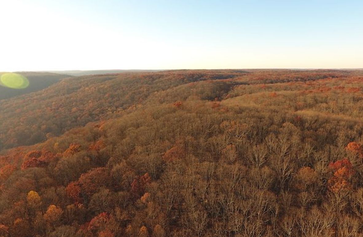 DJI_0039