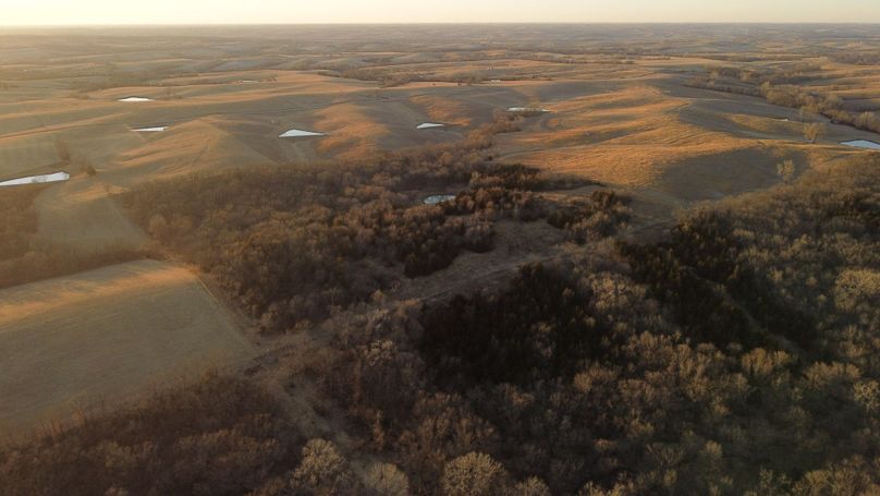 WORTH CO MO 537.44_19