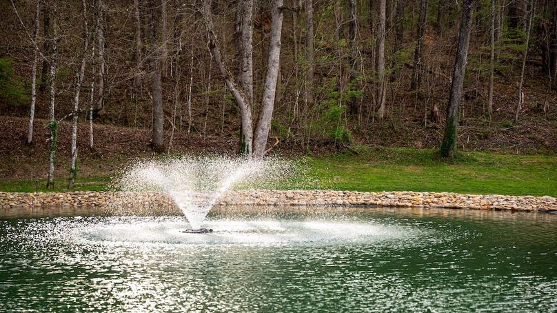 15 Sevier TN 77.63 Featured_Pro Photo-51