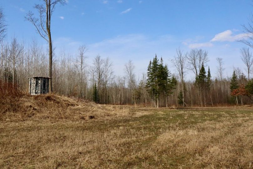 Copy of Copy of IMG_0544