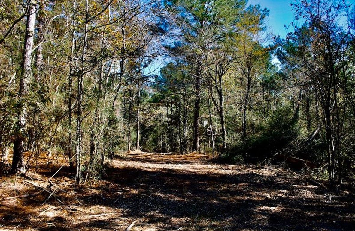 4B2A26EF-88DD-42B3-9140-F0D3E30E9C09_1_105_c