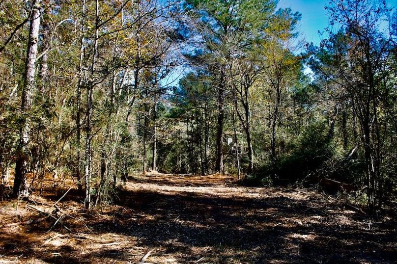 4B2A26EF-88DD-42B3-9140-F0D3E30E9C09_1_105_c