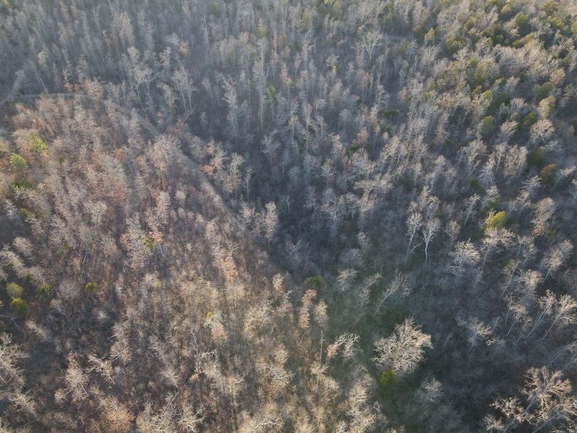 DJI_0319