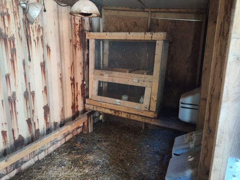 IMG_20231017_101626814