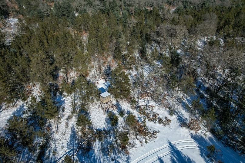 Adams 25, Nessler -81