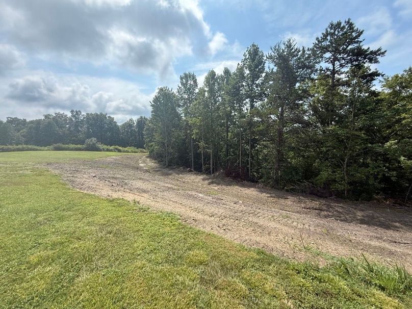 021 the recent dozer work along the southeast side of the cabin