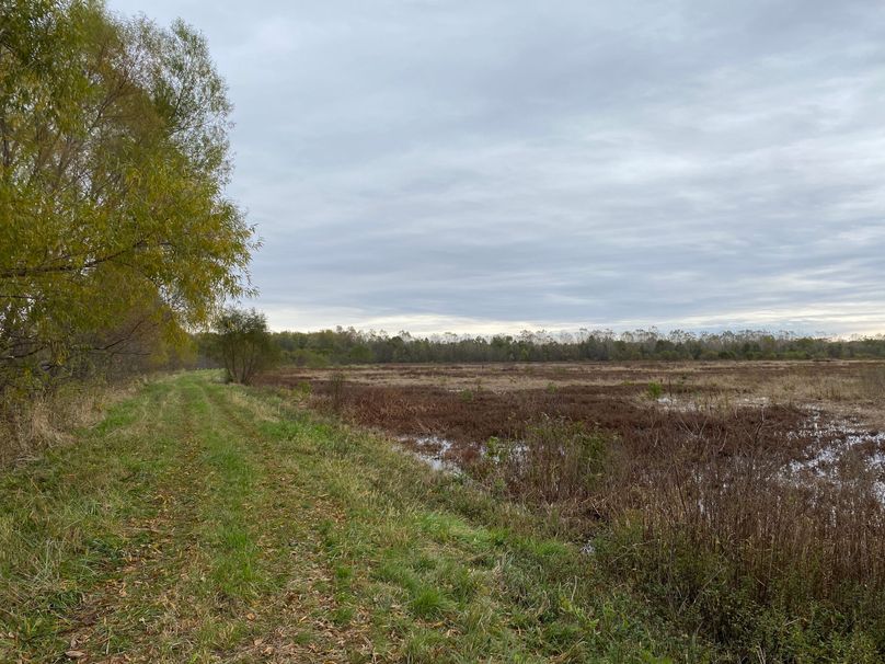 pics from late 2021 and early 2022. New plots being planted in Aug 2023 for new pics (22)