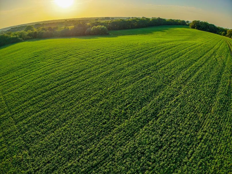 DJI_20250723195215_0381_D