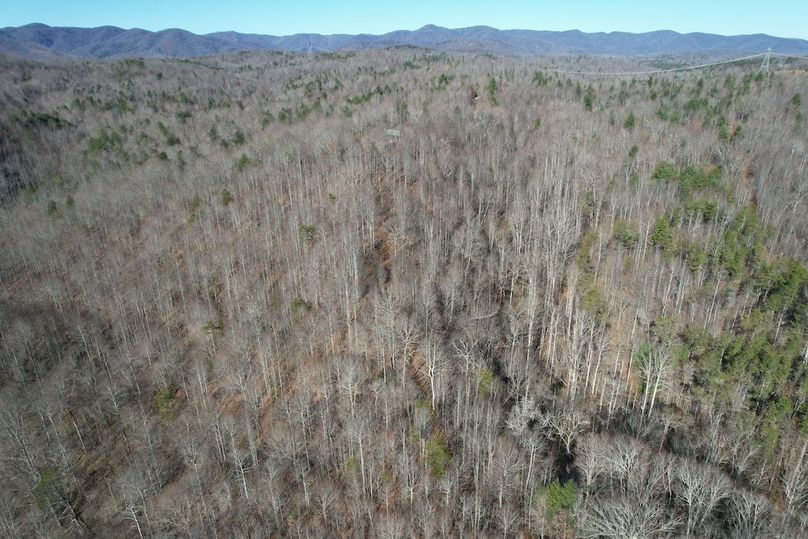 DJI_0240