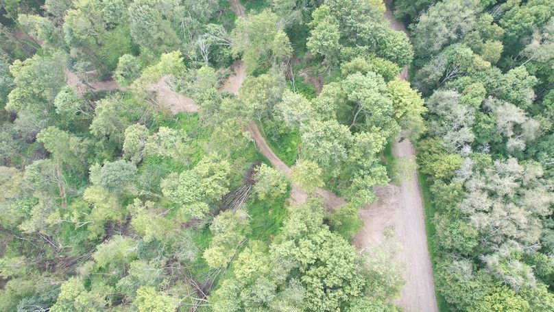 dji_fly_20250806_151846_607_1754528920272_photo