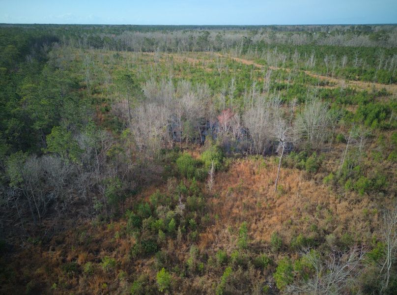 DJI_20240227084644_0056_craven60