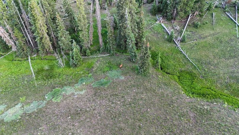 DJI_20250627202522_0102_D