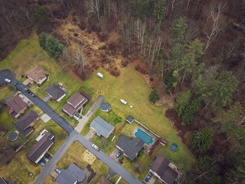 dji_fly_20230216_103402_456_1676561663856_photo