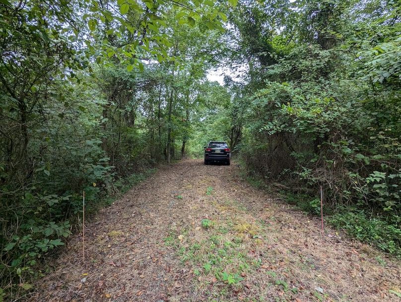 PXL_20240819_154008998