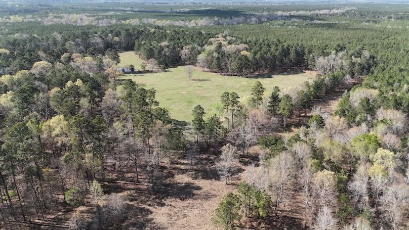 dji_fly_20260305_050514_0093_1772672660275_photo