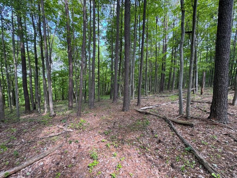 Pleasants, WV 168.59 AC Superior, Swank, Young-053