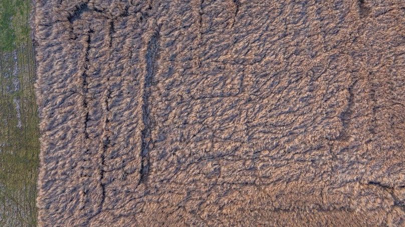 DJI_20260218075738_0008_D