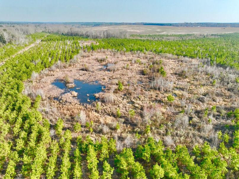 dji_fly_20250225_160540_444_1740517924676_photo