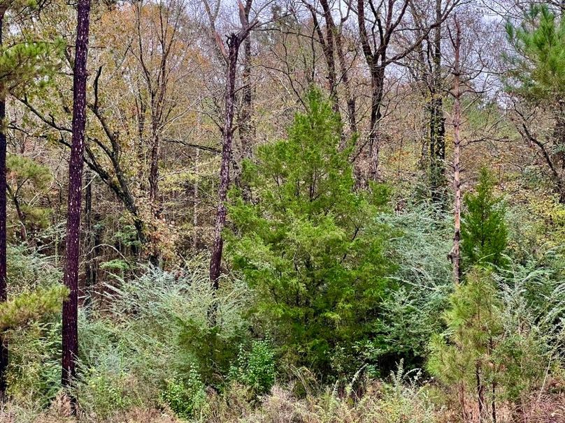 9B4A4085-9FDD-4438-BE67-D8B98338623C_1_201_a