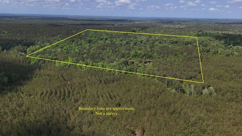 DJI_20260423111340_0004_D