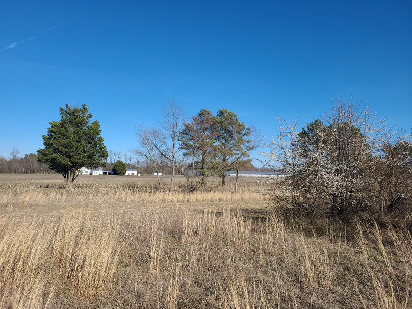 50.38ac_BethlehemRd_Caroline_Pic023