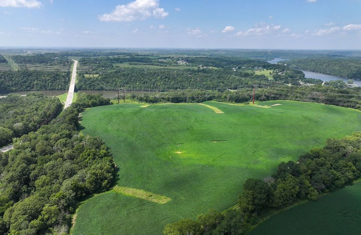 Olmsted 42.63 New-03