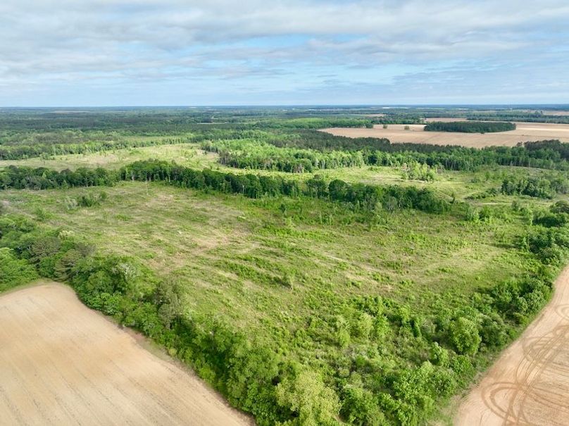 dji_fly_20260427_094424_584_1777300000242_photo