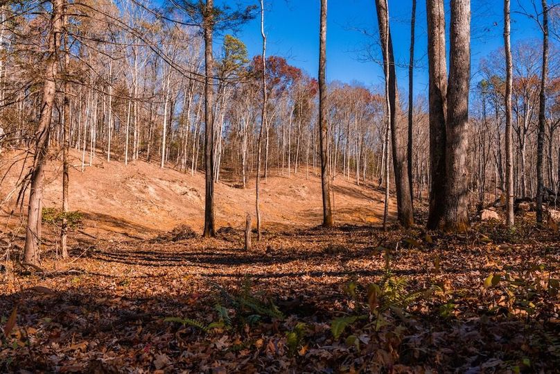 Cleared areas for food-plots and pond expansion