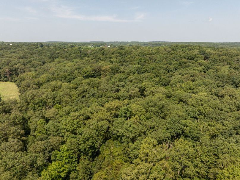 DJI_20250723113404_0564_D