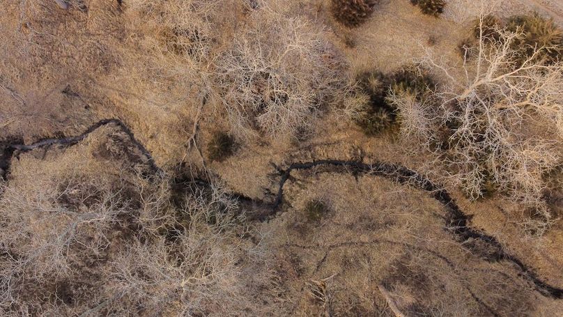 MONTGOMERY CO IA 156.78_15