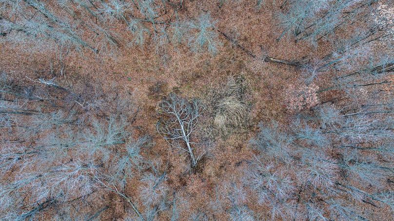 DJI_20251222141055_0008_D