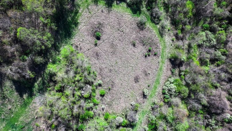 DJI_20250425041017_0452_D