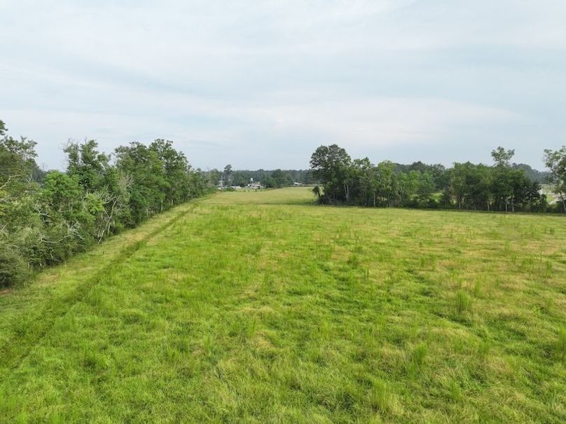 dji_fly_20250730_083738_0323_1753888796910_photo