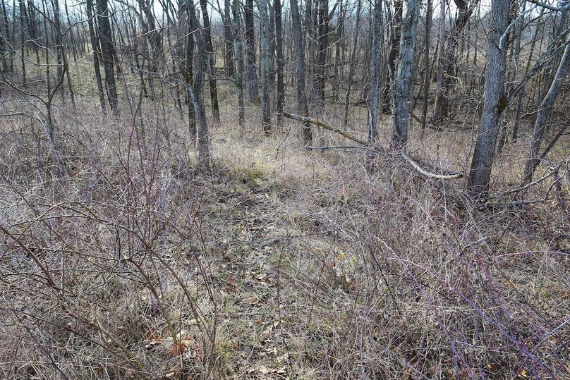 DSC_0308_inPixio (2)