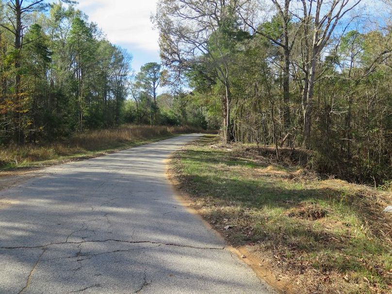 Lauderdale Co - 74 - Gillentine-05