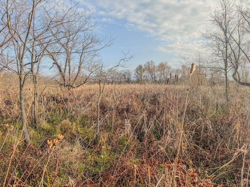 Monroe 80 Driver Dixon (Final Frontier) -05