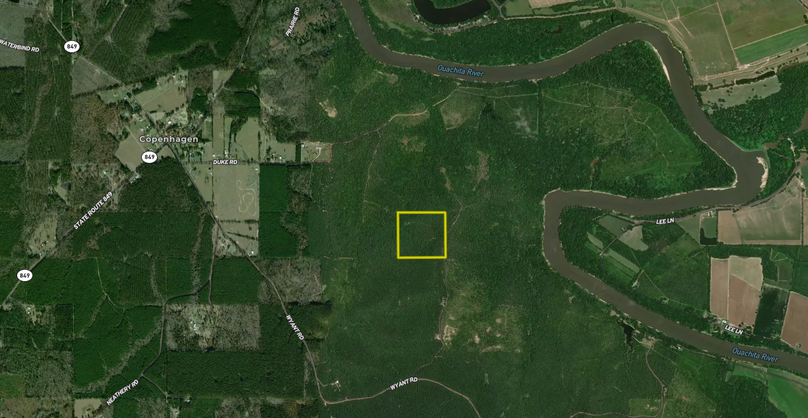 Screenshot 2023-12-13 at 1.12.55 PM