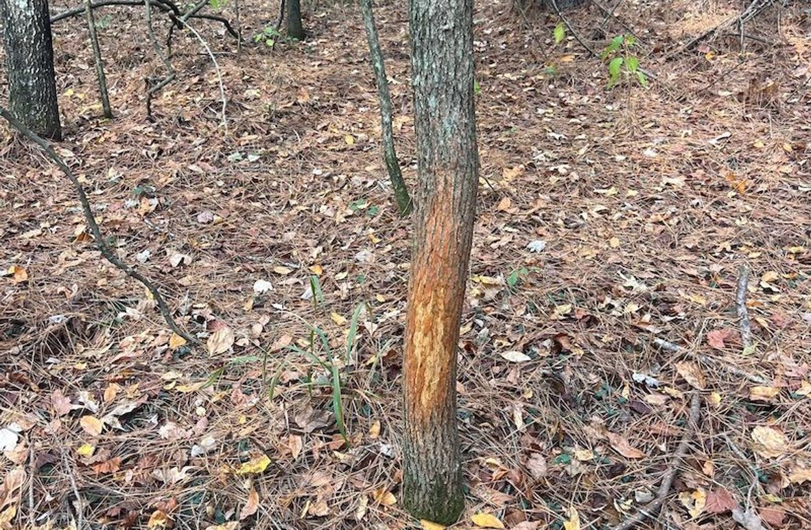 78475688138__FDF38125-7A3E-426E-83C3-82489DB369F4