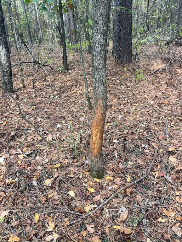 78475688138__FDF38125-7A3E-426E-83C3-82489DB369F4