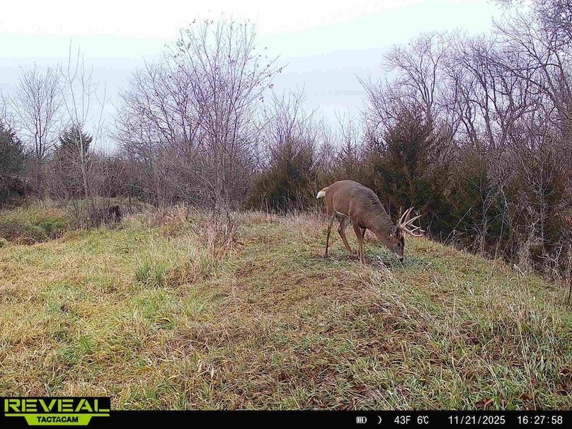 865814040443812-20-2-11212025162758-HD-W1004038