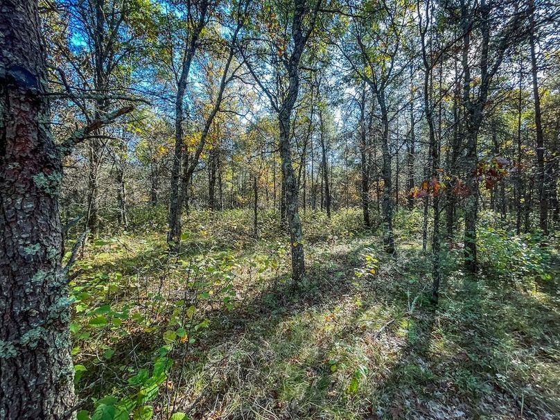 Juneau 27 Wiesner -088