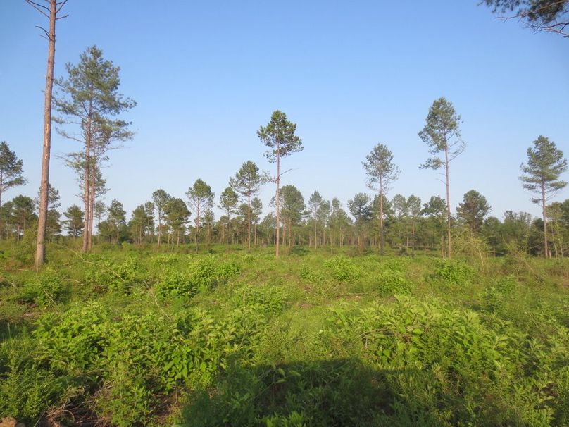 A2C3BACB-EDB6-45A4-B88D-181DA786E89B_1_105_c