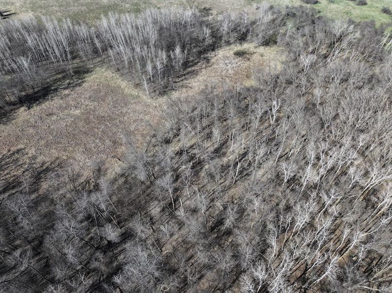 dji_fly_20260424_180154_0727_1777079275998_photo