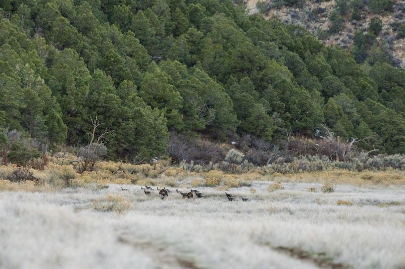 Copy of Copy of Copy of 14