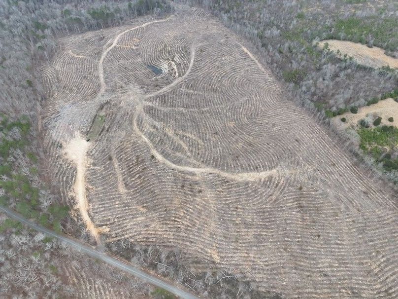 DJI_20260303123942_0018_V